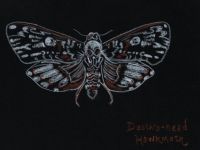 death\'s-head hawkmoth